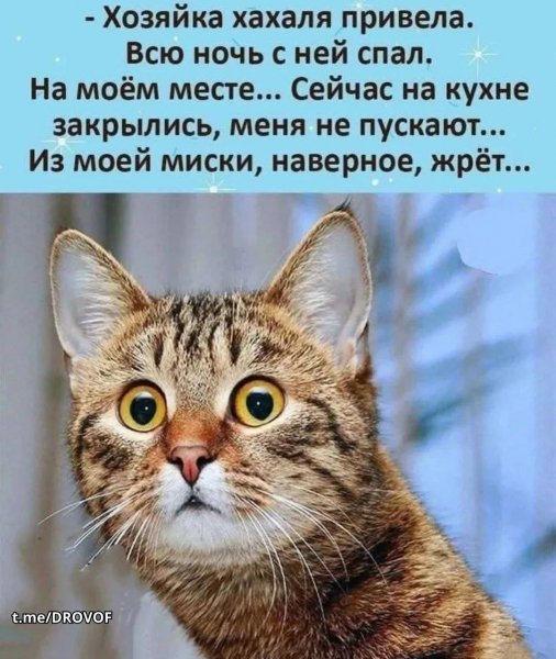 IMG 20260810 155343 508