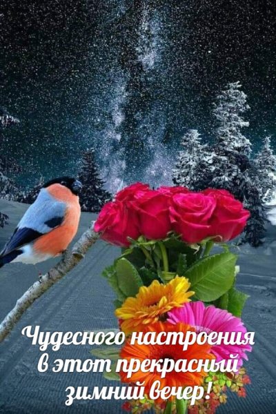 ySnpqYuqINw
