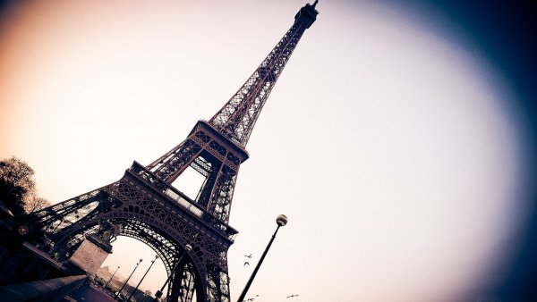 Image (12)