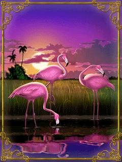 Pink Flamingo