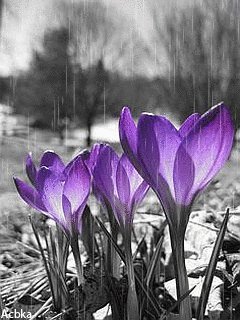file_46728725
