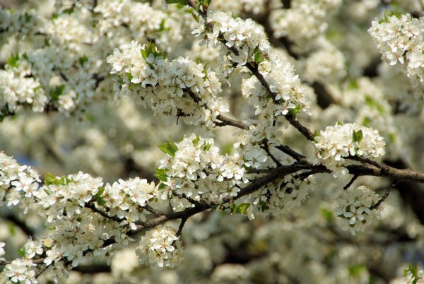 Img (56)
