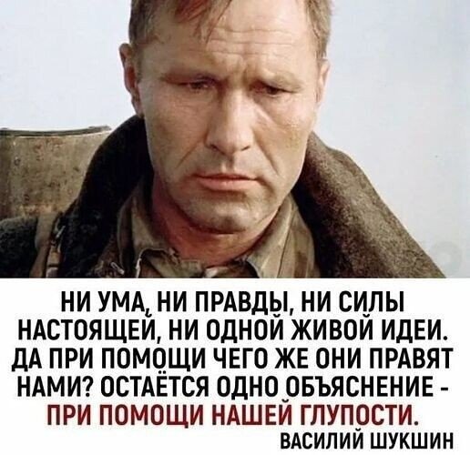 e07a36e51c01a18d4113a623a86