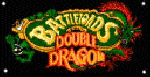 Battletoads and Double Dragon