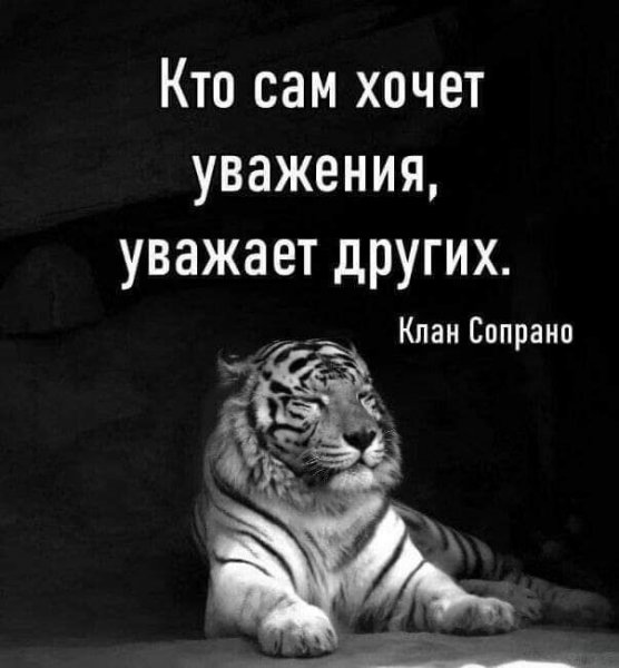 IMG 20240524 235228