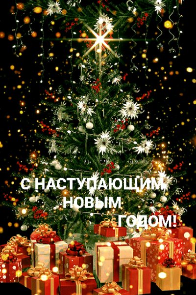 file_95441051