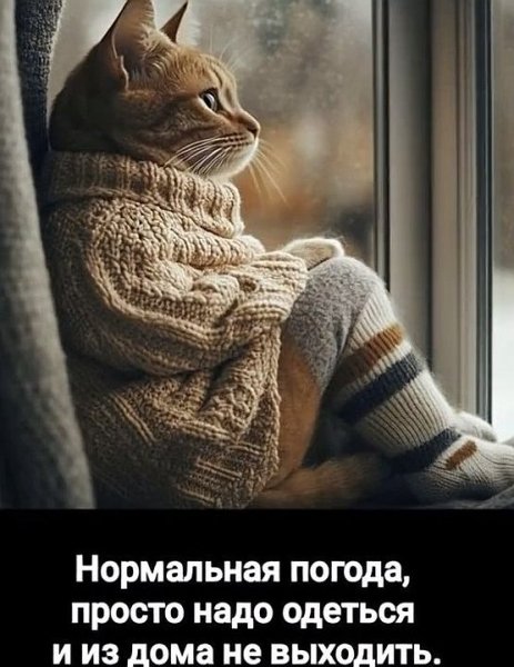 Нормальная погода