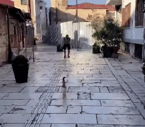 ))