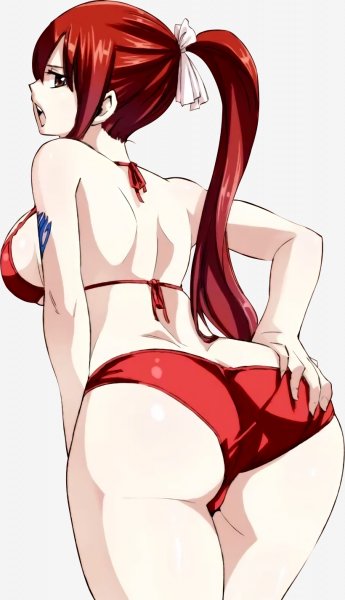 Fairy Tail (25)