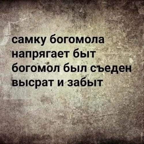 IMG 20250729 162759 514