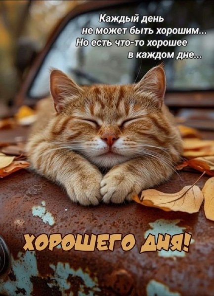 Хорошего дня! ....