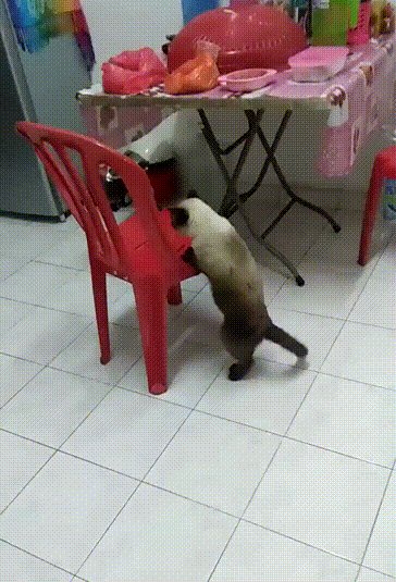 ))
