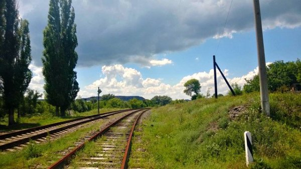 Первомайск 239