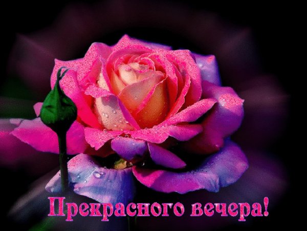 0 27012a c4bfcfd9 orig