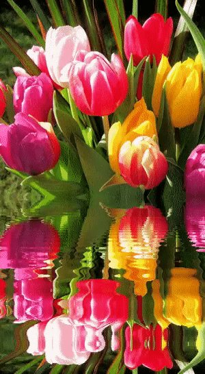 file_80970002