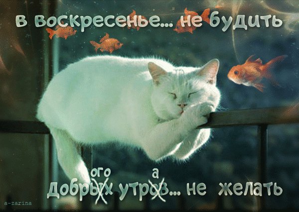 file_91949257