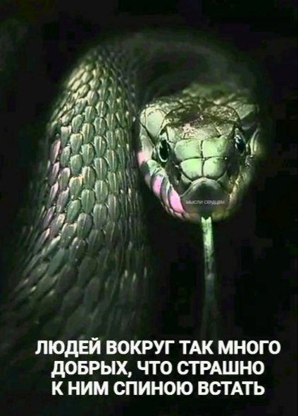 file_100926961