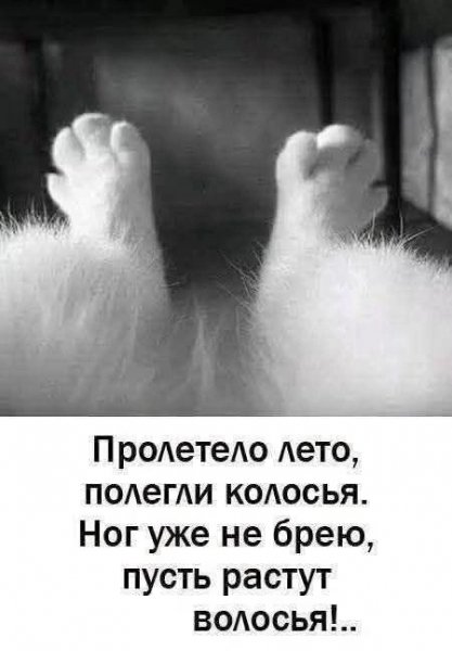 file_103326044