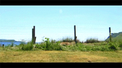gifs 01