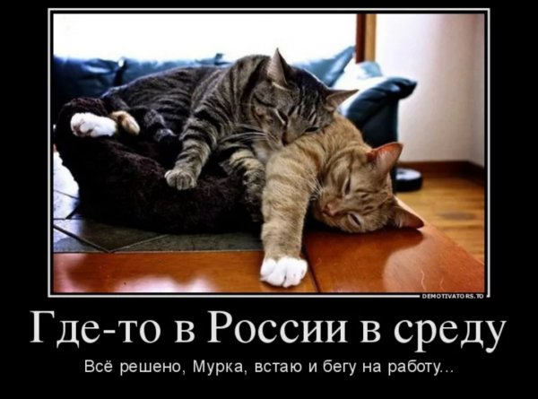 IMG 20260408 115210