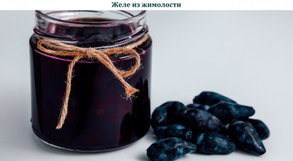 Желе из жимолости