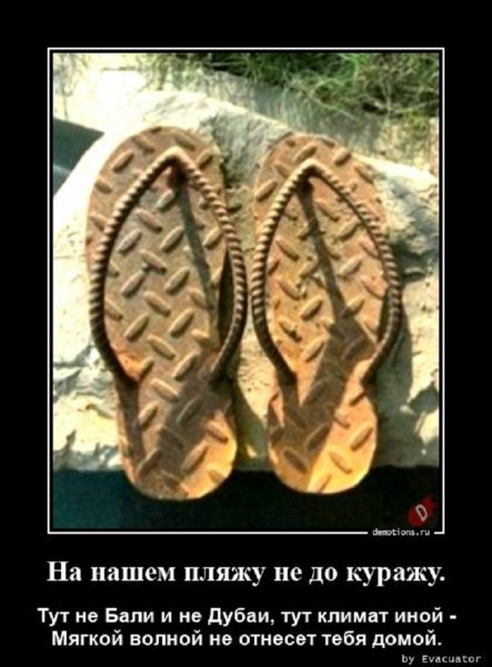 Неубиваемые. Им сносу не будет.