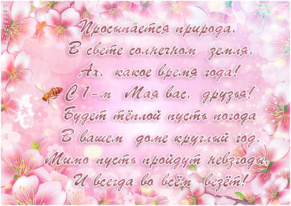 music-0002-pervomay-pan