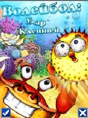 Beach ball crab mayhem