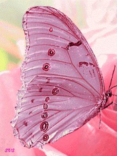 file_9323966