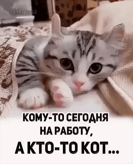 IMG 20240220 231123