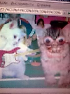 НУ И КОТ