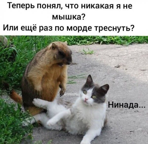 FB IMG 1780128547546