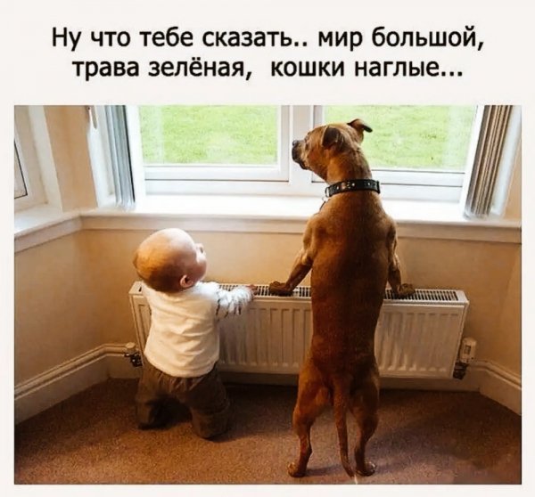 IMG 20231101 150753