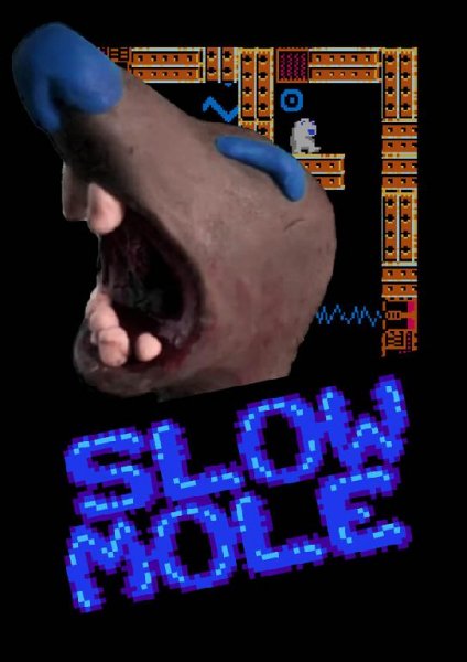 SlowMoleBeta NES