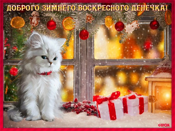 Доброго воскресного утречка
