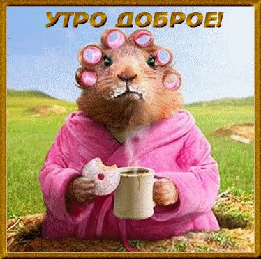 utro dobroe