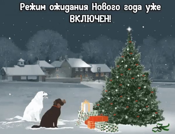 gif 1574534196