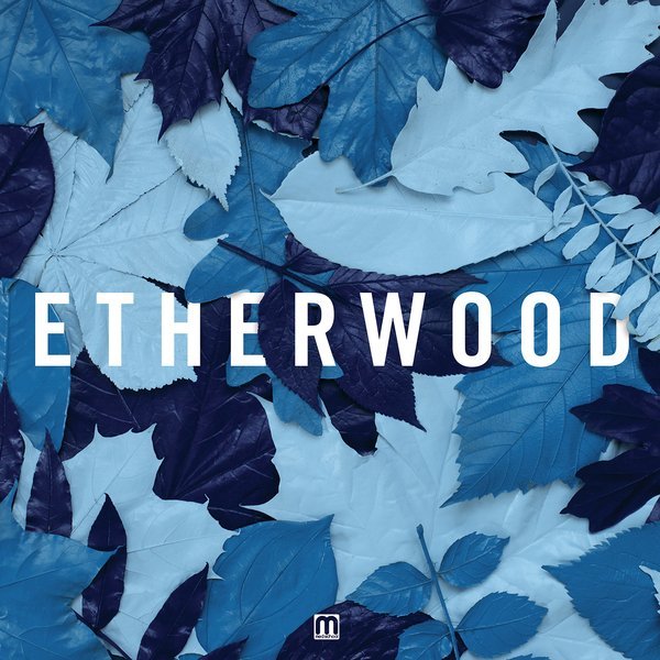 Etherwood - Souls Rejoined