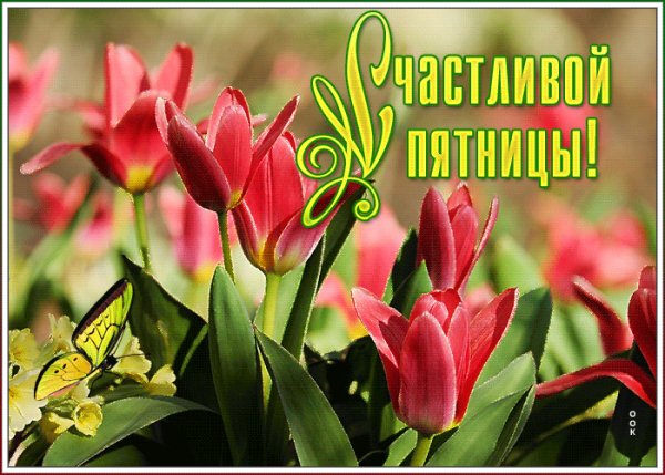 file_81847997