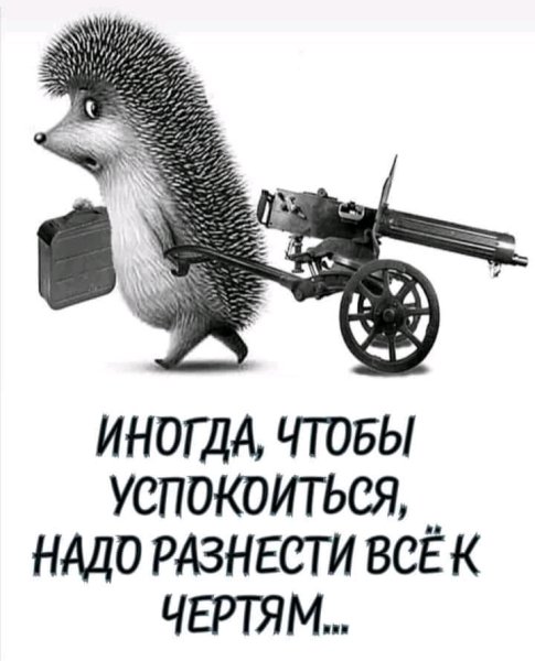 FB IMG 16248284122086914