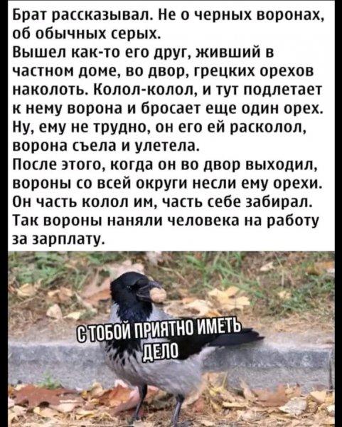 file_102938822