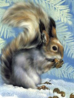 file_1112935