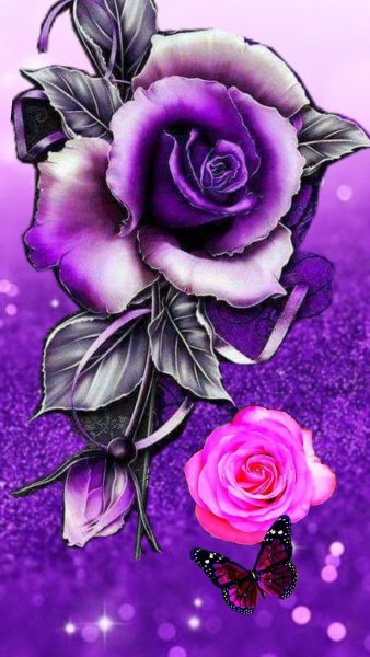 file_101081840