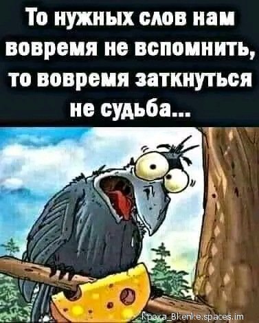file_92349276