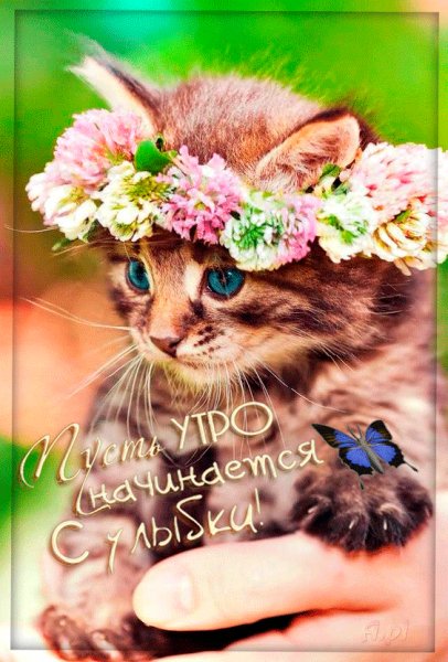 Пусть утро начнётся с улыбки!