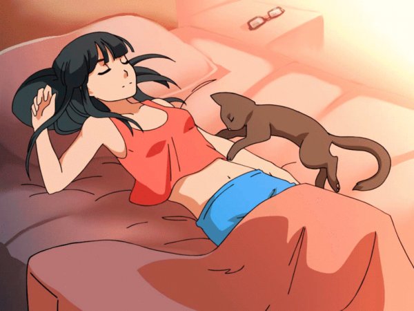 ero-gif-Эротика-гифки-кот-5766659