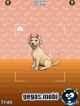 my pet store 2650