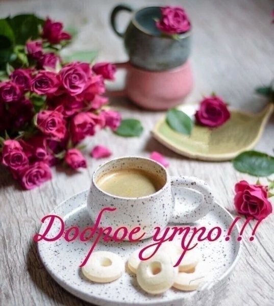 IMG 20260506 092021 958