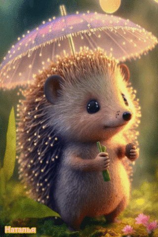 file_97982672