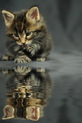 F01a5f5e46c8ab8f47345116bf2cbb80